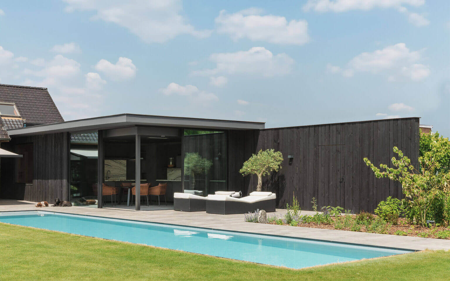 Strakke tuinaanleg met houten terras — aterre totaalproject